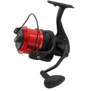 ZUNZUN BLACKPOOL 8000 RED EDITION